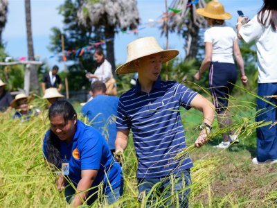 SS Rice News Convention 2025, Pattaya - Thailand